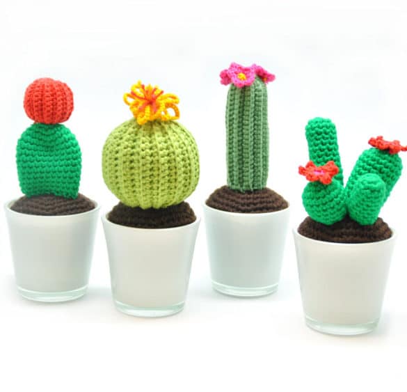 cactus haken